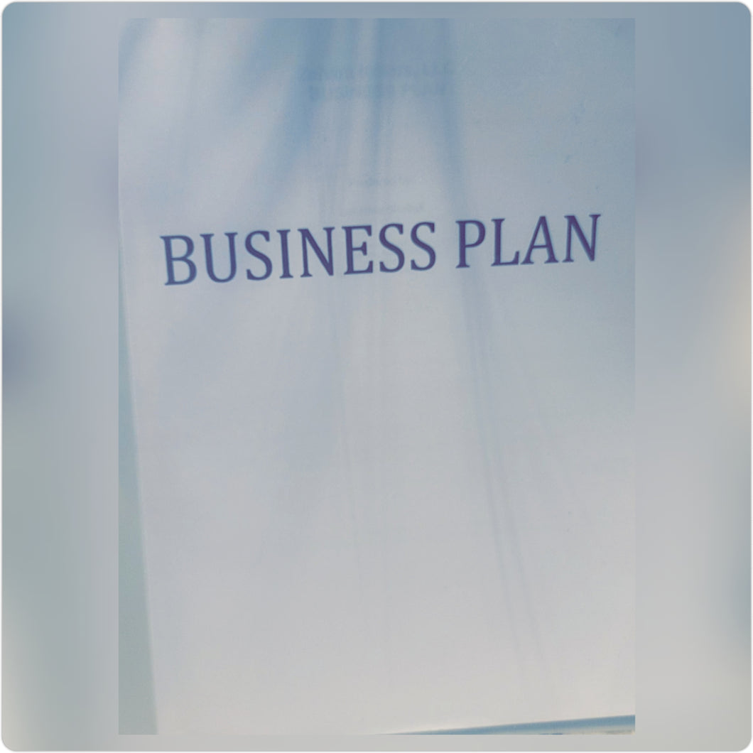 BUSINESS PLAN FORMAT

 

￼

THE BUSINESS PLAN